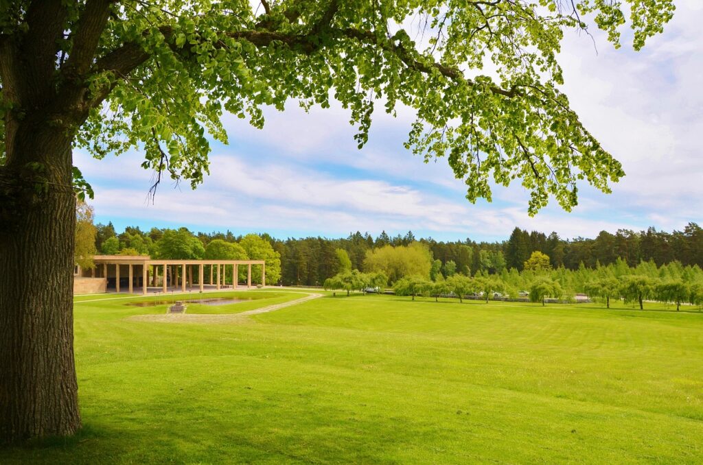 natur, grass, summer, green, spring, park, garden, landscape, tree, nature, natural