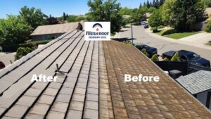 Roof Washing & Shingle Rejuvenation in Roseville 1 Folom Roof wsah Before and after north west resh roof
