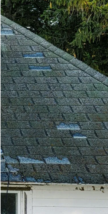 Studies 5 Shingle Tear strength