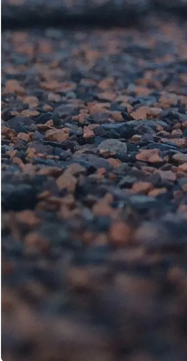 Studies 4 Shingle close up